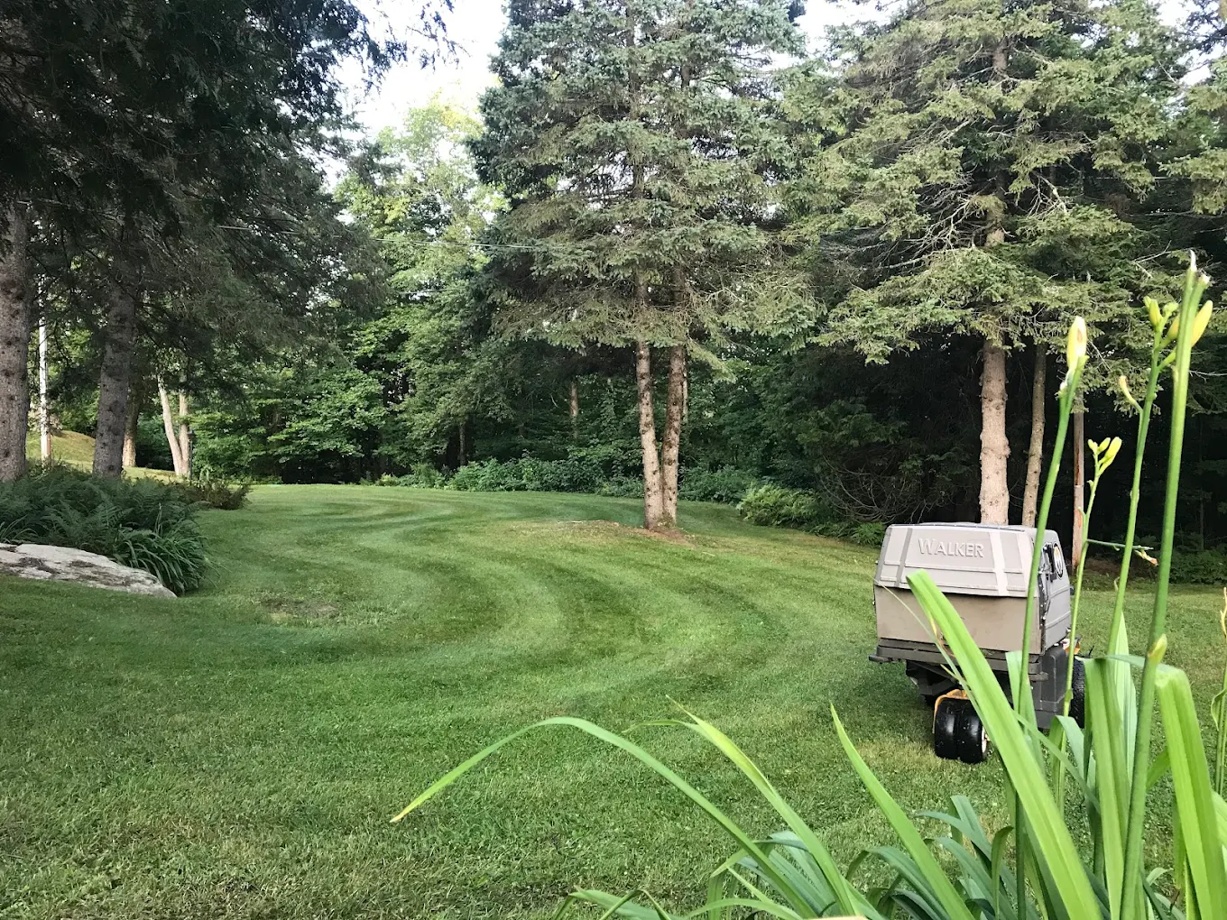 Entretien paysager professionnel